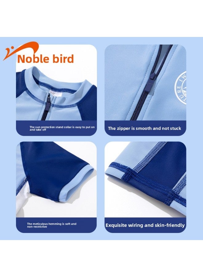 Noble Bird Children's Swimsuit One-piece Baby Cartoon Swimming Trunks Student Hot Spring Quick-drying Swimming Suit Wholesale-Color:9930 Blue Shark- - Image 4